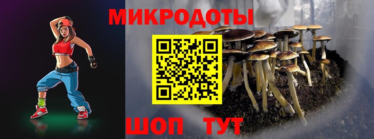 Галлюциногенные грибы ЛСД  Галлюциногенные грибы мицелий  цена   Сухой Лог  Вход с VPN 
